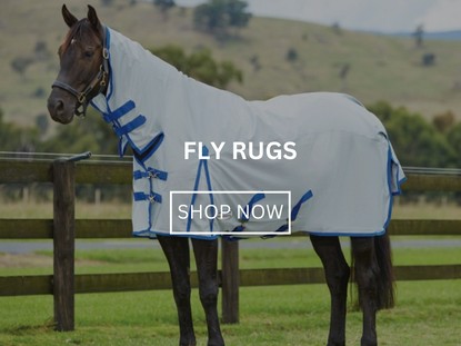 Fly Rugs & Masks