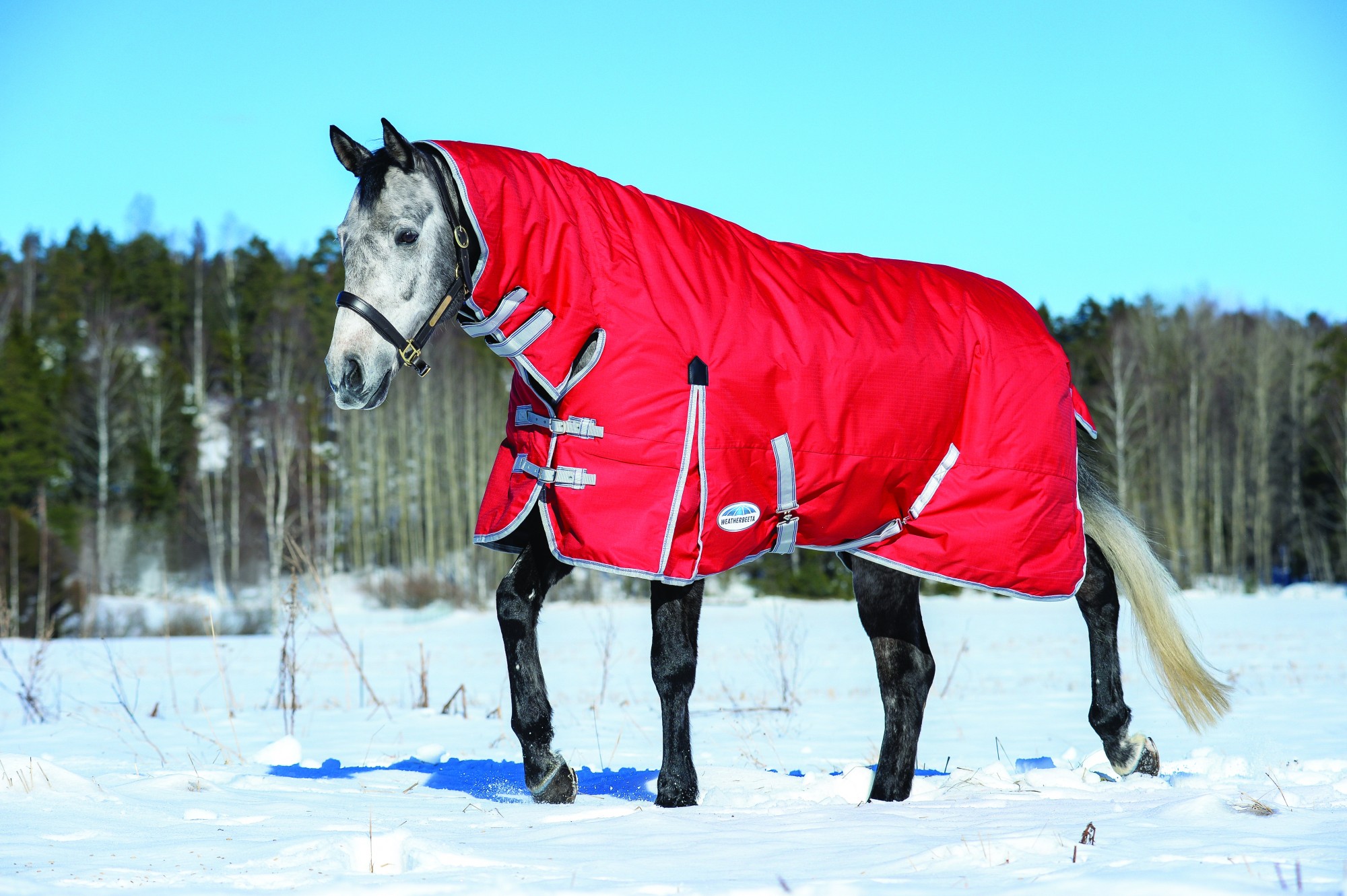 Weatherbeeta Comfitec Classic Turnout Rug Combo Neck 300g - Old Dairy ...