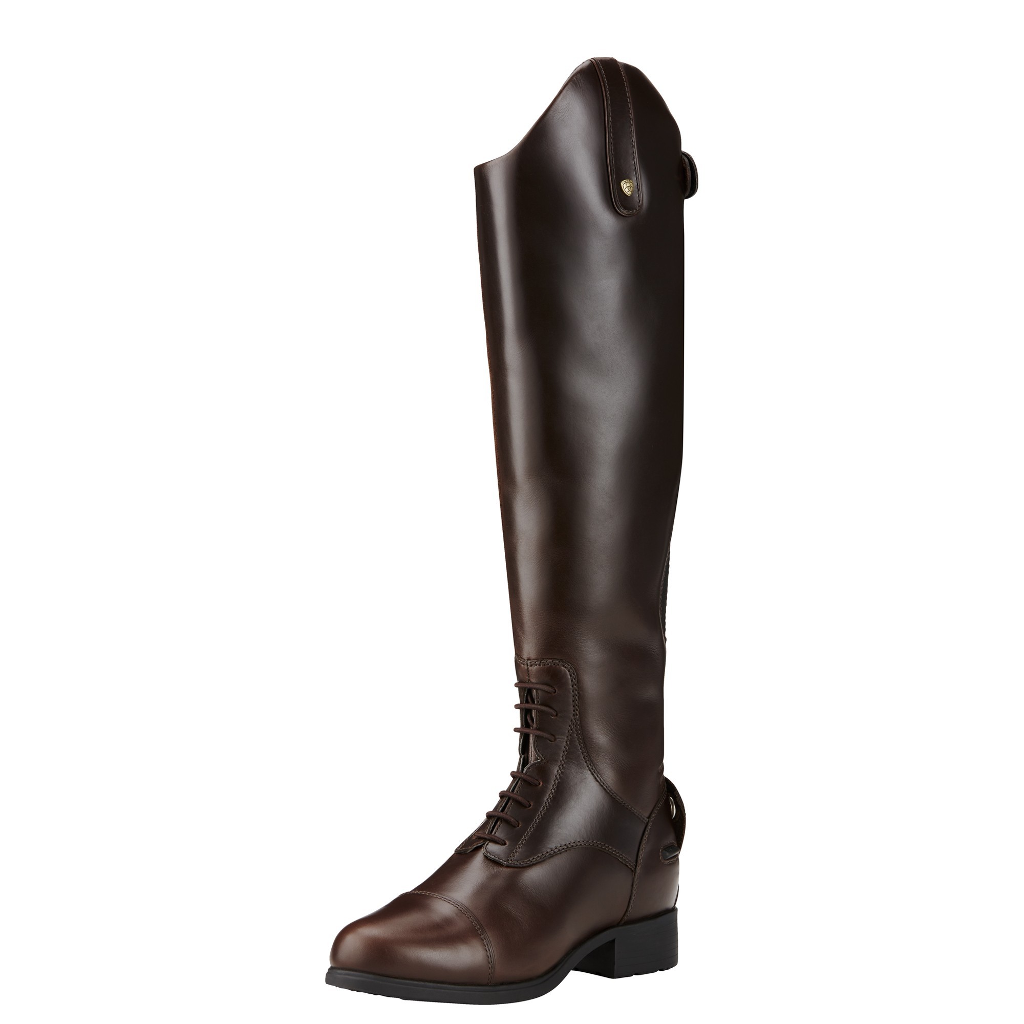 ariat bromont boots brown