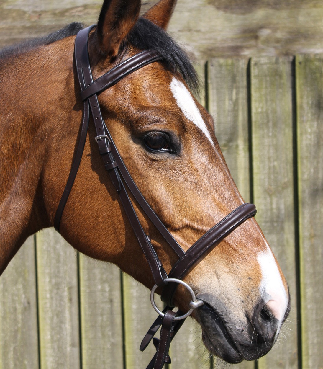 JHL Raised Cavesson Bridle Brown - Old Dairy Saddlery