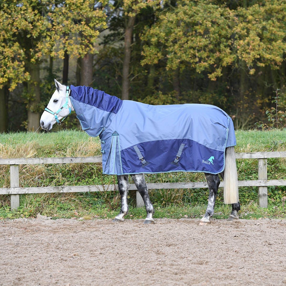 Blue/Grey Masta Fieldmasta 100g Fixed Neck Turnout Rug - Old Dairy Saddlery