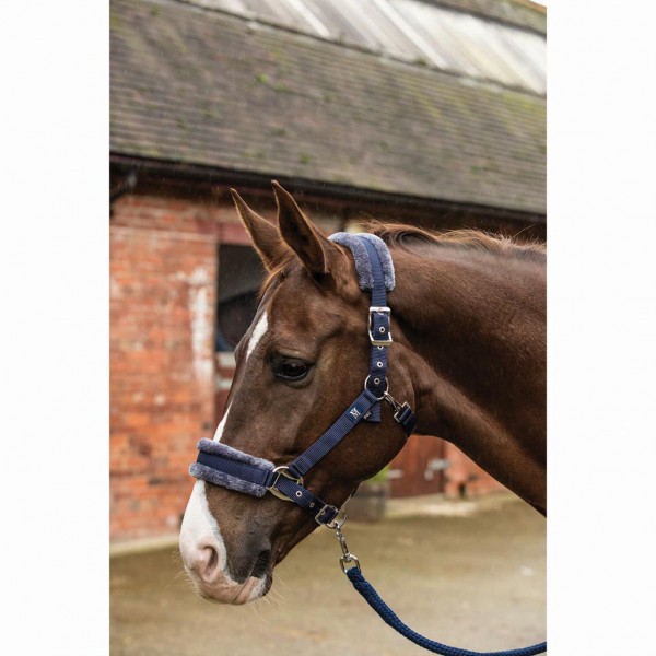 Mark todd sale headcollar