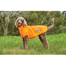 Weatherbeeta Comfitec Active Dog Coat (Yellow)