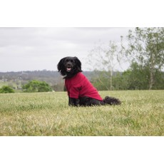Weatherbeeta Comfitec Fleece Dog Jumper (Burgundy)