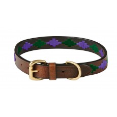 Weatherbeeta Polo Leather Dog Collar (Beaufort Brown/Purple/Teal)