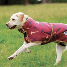 Weatherbeeta dog coat hot sale pheasant