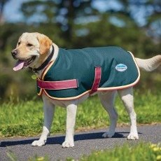 Weatherbeeta Comfitec Parka 1200D Dog Coat (Teal/Cerise/Yellow)