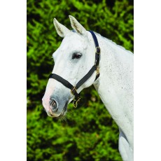 Kincade Deluxe Webbed Headcollar With Leather Crown (Black)