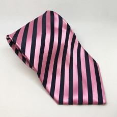 Equetech Broad Stripe Show Tie (Navy/Pink)