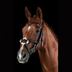 Collegiate Comfitec Grackle Bridle (Brown) Collegiate Comfitec Grackle Bridle (Brown)