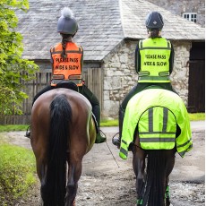 Woof Wear Adults High Viz Riding Vest (Yellow)