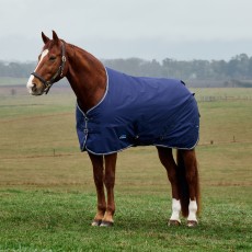 Weatherbeeta Comfitec Tyro Standard Neck Turnout 50g (Navy/Charcoal) Weatherbeeta Comfitec Tyro Standard Neck Turnout 50g (Navy/Charcoal)