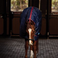 Weatherbeeta Comfitec 210d Channel Quilt Stable Combo 220g (Navy/Burgundy) Weatherbeeta Comfitec 210d Channel Quilt Stable Combo 220g (Navy/Burgundy)