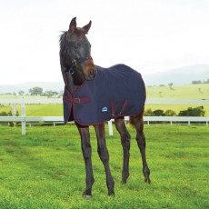 Weatherbeeta 1200D Foal Turnout Standard Neck 220G (Navy/Burgundy) Weatherbeeta 1200D Foal Turnout Standard Neck 220G (Navy/Burgundy)