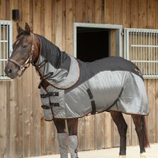 Equilibrium Therapy Magnetic Rug Equilibrium Therapy Magnetic Rug