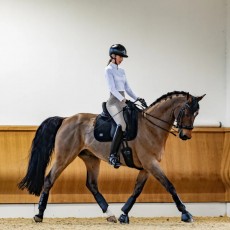 Woof Wear Elite Comfort Plus Dressage Saddlepad (Black) Woof Wear Elite Comfort Plus Dressage Saddlepad (Black)