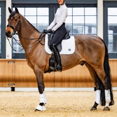 Woof Wear Elite Comfort Mesh Dressage Saddlepad (White) Woof Wear Elite Comfort Mesh Dressage Saddlepad (White)