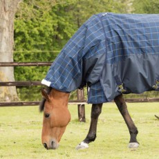 Mark Todd Lightweight Turnout Neck Cover Plaid (Navy, Beige & Royal)
