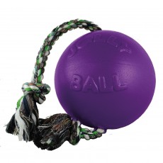 Jolly Pets Romp-N-Roll Jolly Ball (Purple)