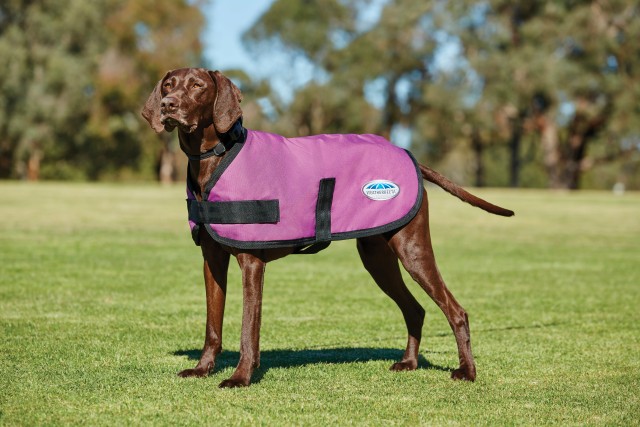 Weatherbeeta Comfitec - Classic Dog Coat (Pink)