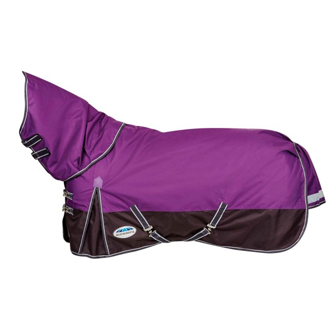 Weatherbeeta Comfitec Plus Dynamic Combo Neck Lite (Purple/Black) - Old ...