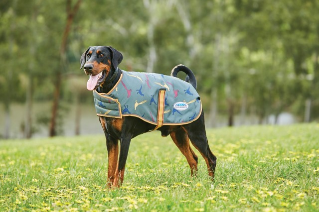 Weatherbeeta Comfitec Premier Free Parka Dog Coat Medium (Green Pheasant Print)