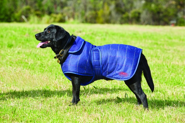 Weatherbeeta Comfitec Tweed Dog Coat Ii (Navy)