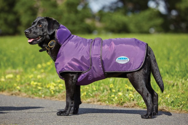 Weatherbeeta Comfitec Windbreaker 420d Deluxe Dog Coat (Purple/Black)