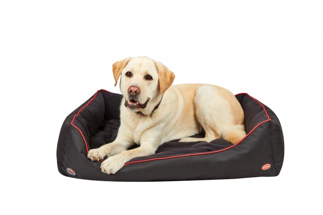 Weatherbeeta Therapy-Tec Dog Bed (Black/Red)