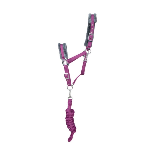 Hy Sport Active Head Collar & Lead Rope (Port Royal)