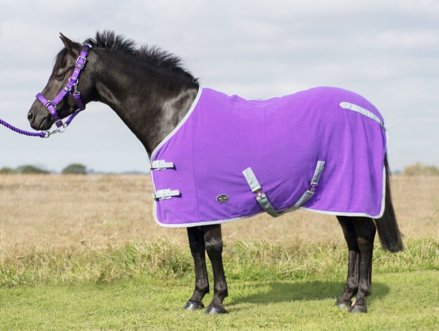 Mark Todd Pony Fleece Rug (Purple/Grey)