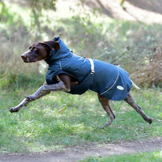 Medium store dog coat