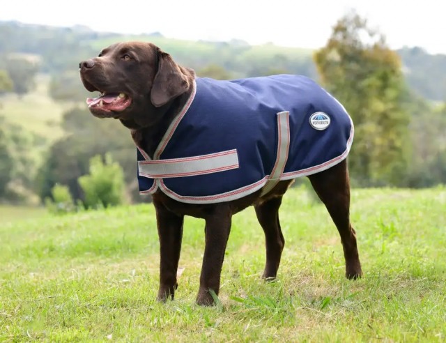 Weatherbeeta Comfitec Essential Dog Coat (Navy/Silver/Red)